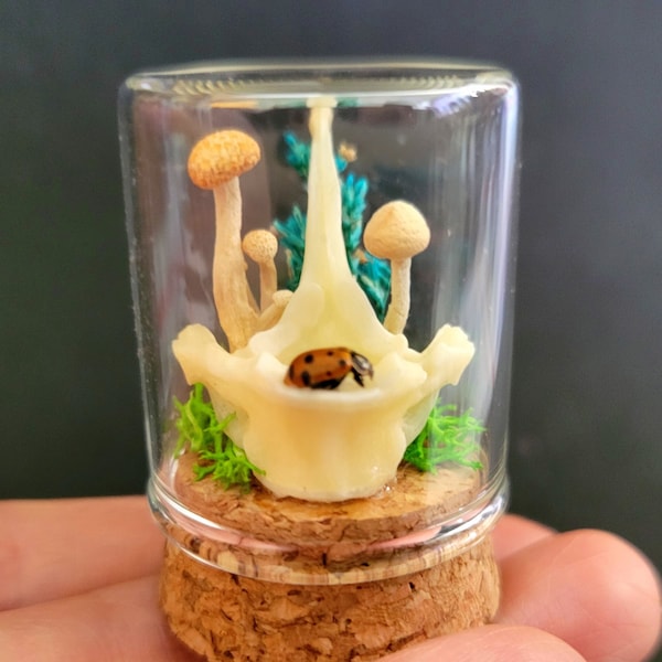 Real Bone Mushroom Ladybug Terrarium, mushroom terrarium decor, vertebrae, bone curiosity, bug taxidermy, vulture culture, mini oddity gift