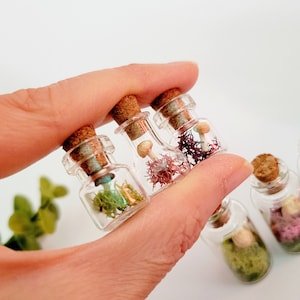 May include: Four small glass bottles with cork tops, each containing a miniature mushroom and moss. The bottles are clear and show the contents inside. The bottles are held in a hand.