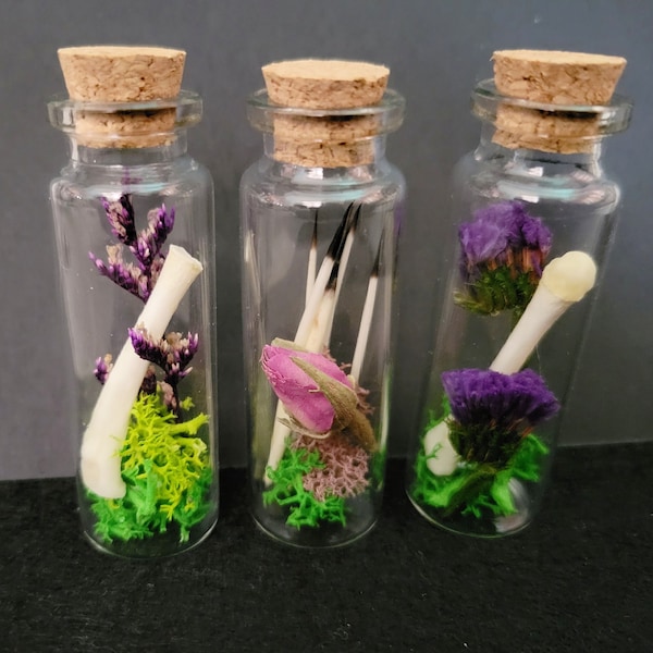 Bone Oddity Jars, natural curio decor, porcupine quills, botanical flowers, Oddity and Curiosity display, vulture culture, small oddity gift