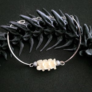 May include: A silver bracelet with a bone-like centrepiece. The charm is made of several small, off-white vertebrae. The bracelet has a delicate design, with small silver beads either side of the vertebrae. The background is black.