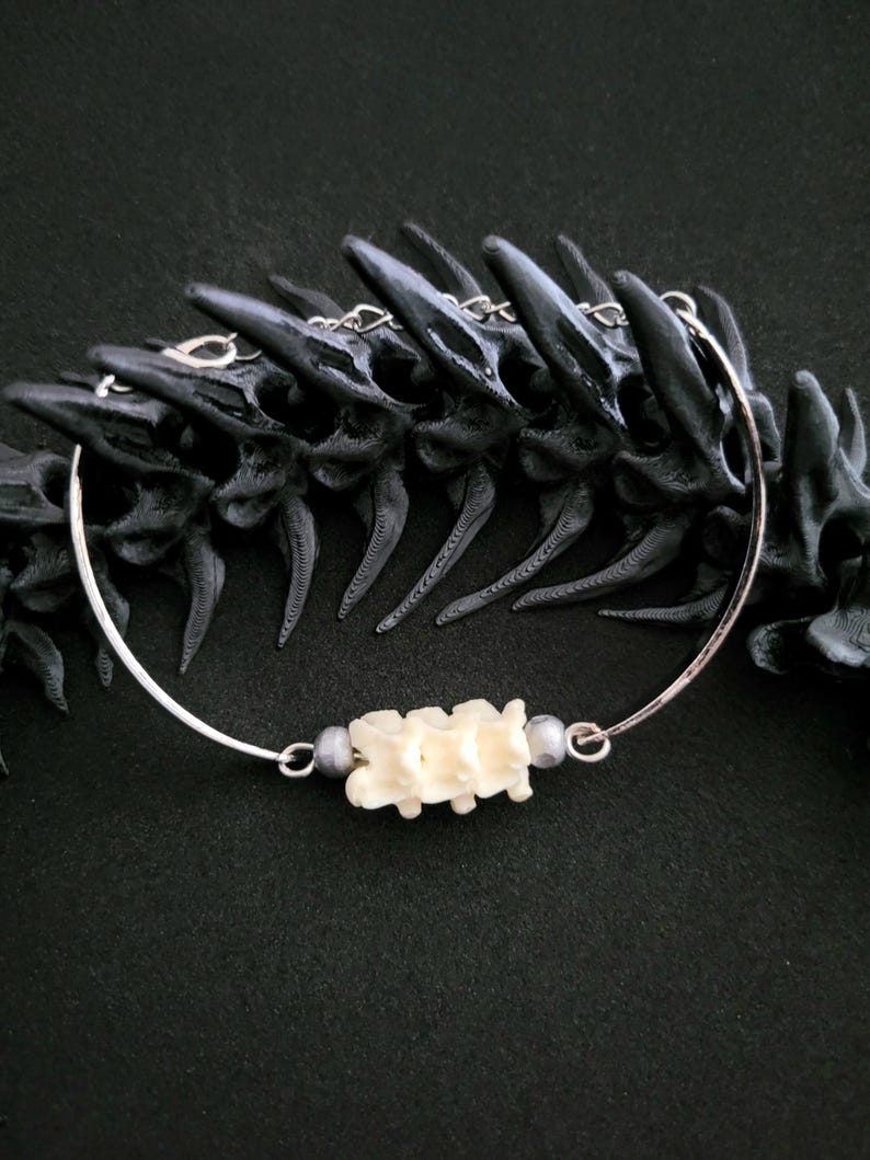 May include: A silver bracelet with a bone-like centrepiece. The charm is made of several small, off-white vertebrae. The bracelet has a delicate design, with small silver beads either side of the vertebrae. The background is black.