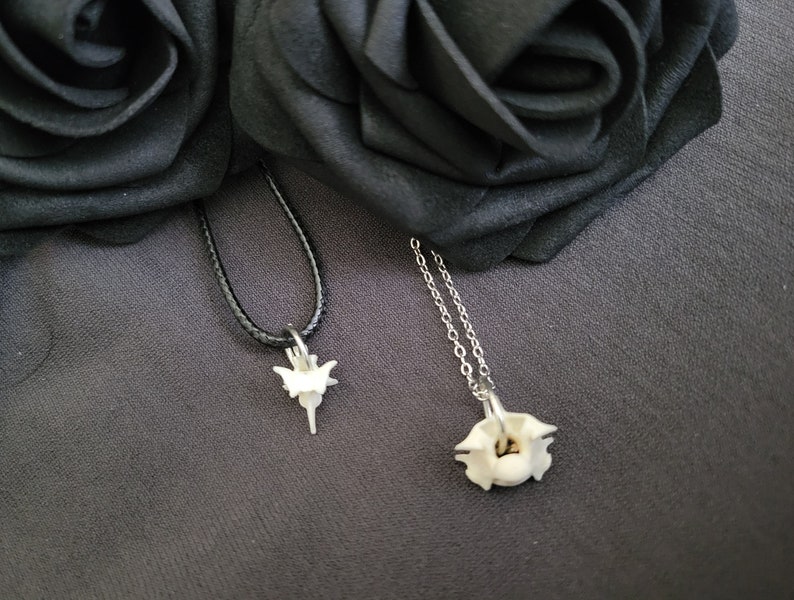 Mini Vertebrae Bone Necklace, real bone jewelry, taxidermy jewelry, oddity and curiosity, vulture culture, dark cottage necklace, goth gift image 4