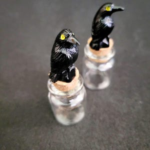 Mini Raven Jar, empty jar supply, gothic crow home decor, dark cottage keepsake bottle, macabre shelf room, goblincore black bird gift