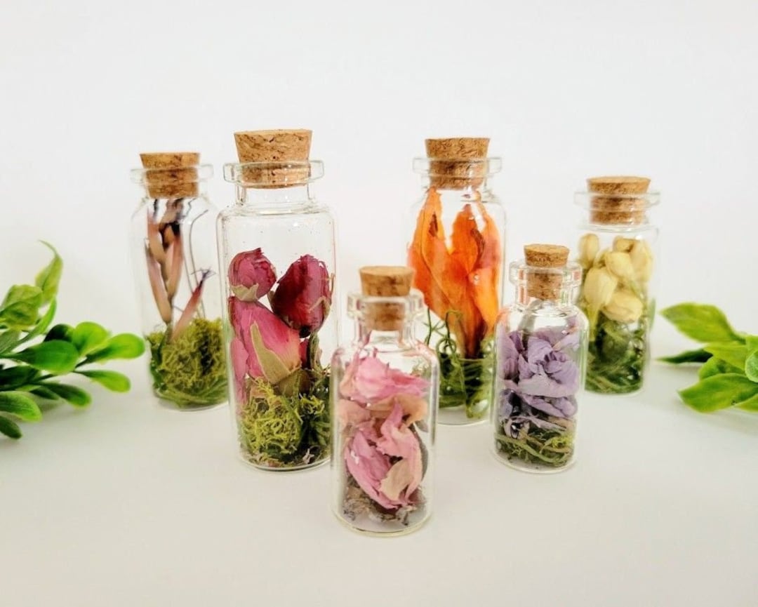 3pc MYSTERY Dried Flower Jars Set, Botanical Floral Decor, Nature
