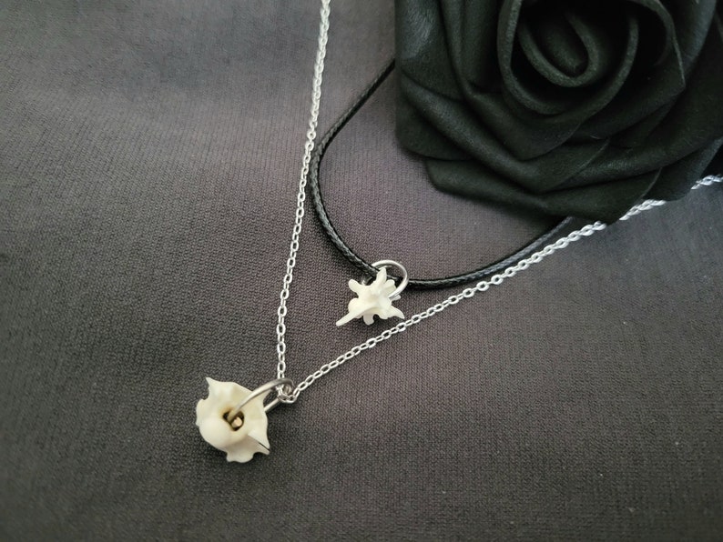 Mini Vertebrae Bone Necklace, real bone jewelry, taxidermy jewelry, oddity and curiosity, vulture culture, dark cottage necklace, goth gift image 5