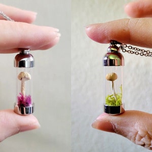 Real Mushroom terrarium necklace, mini vial, fungi pendant jewelry, curiosity oddity, fairy garden, natural curio, botanical boho gift