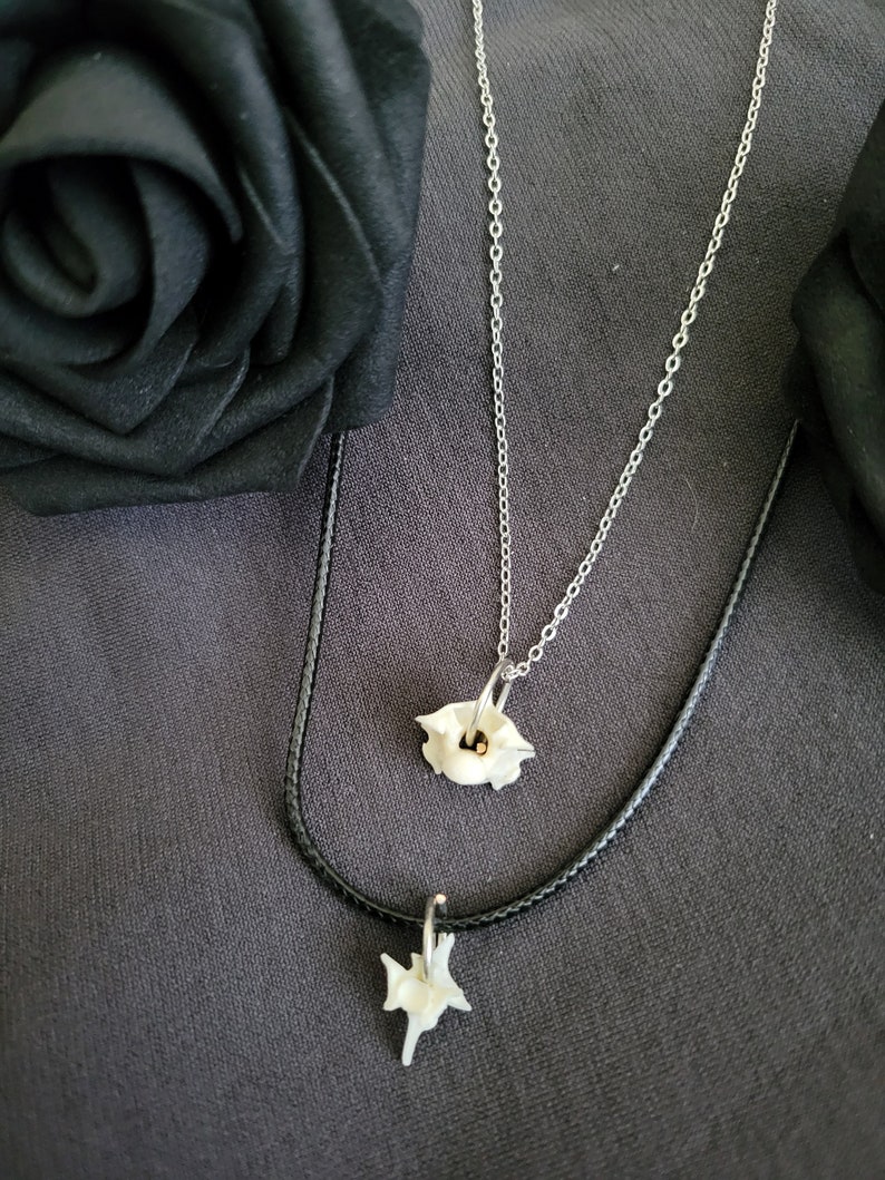 Mini Vertebrae Bone Necklace, real bone jewelry, taxidermy jewelry, oddity and curiosity, vulture culture, dark cottage necklace, goth gift image 6