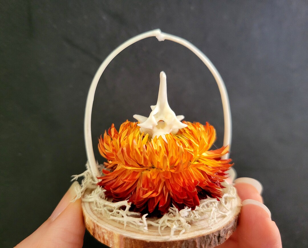 Real Bone Flower Decor, Handmade Bone Oddity Art, Orange Floral