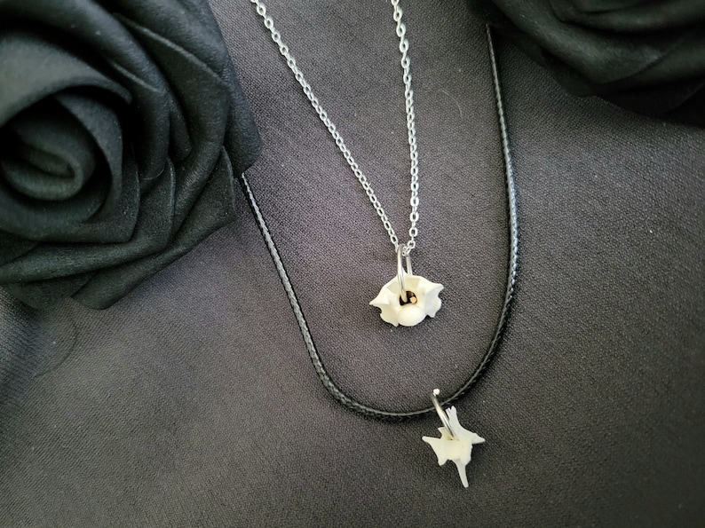 Mini Vertebrae Bone Necklace, real bone jewelry, taxidermy jewelry, oddity and curiosity, vulture culture, dark cottage necklace, goth gift image 1