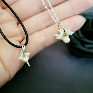 Mini Vertebrae Bone Necklace, real bone jewelry, taxidermy jewelry, oddity and curiosity, vulture culture, dark cottage necklace, goth gift image 2