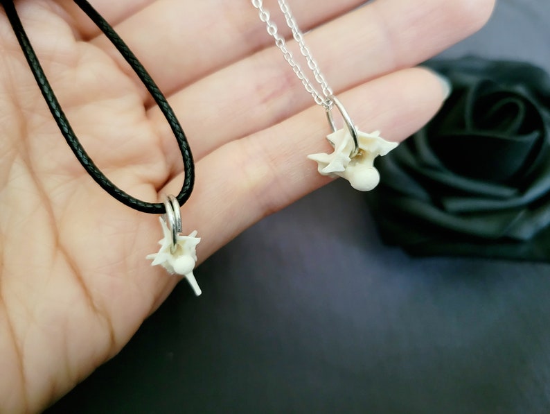 Mini Vertebrae Bone Necklace, real bone jewelry, taxidermy jewelry, oddity and curiosity, vulture culture, dark cottage necklace, goth gift image 2