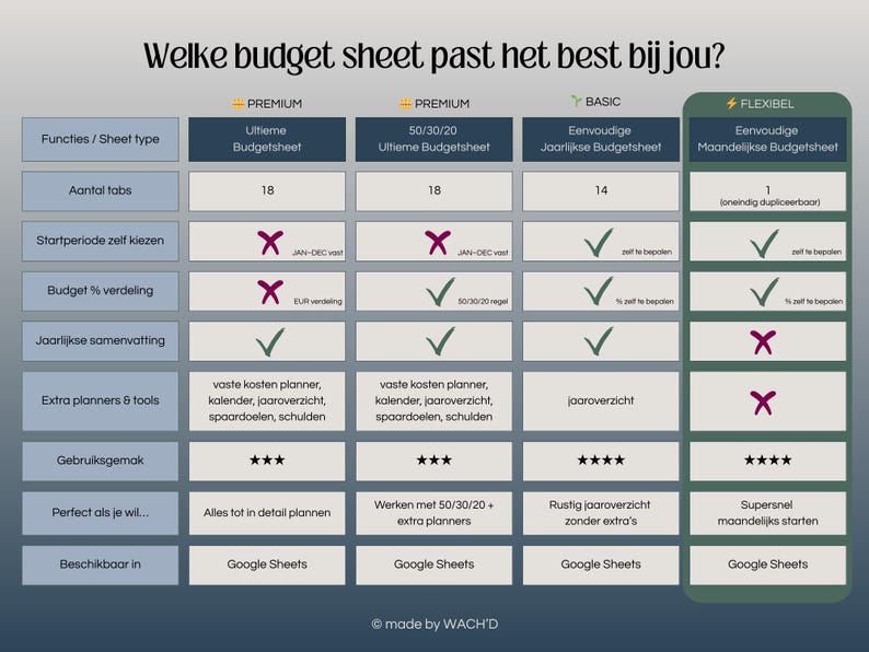 Dutch Budget Planner | Simple Google Sheets | Monthly Budget Planner | Personal Finance | Personal Budget | Budgeting image 6