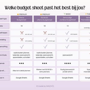 Niederländischer Budgetplaner | Einfache Google Tabellen | Monatlicher Budgetplaner | Persönliche Finanzen | Persönliches Budget | Budgetierung Bild 6