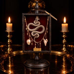 Peut inclure: Une vitrine en bois sombre avec un intérieur en velours rouge contenant un squelette de serpent argenté, un crâne humain et un crâne de bélier. L'ensemble est orné de chaînes dorées avec de petites croix et des perles claires sur un socle.