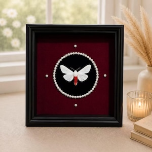 May include: A square black shadow box frame containing a white moth with a red abdomen, centred on a black circular background. The moth is surrounded by a circular border of white pearls, with four additional pearls placed at the cardinal points.