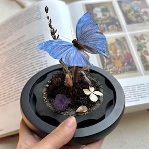 Puede incluir: Un cuenco negro decorativo con una mariposa azul con intrincados patrones en las alas. La mariposa descansa sobre un pequeño arreglo de plantas con flores secas, un cristal púrpura y una concha. El cuenco se sostiene en una mano.