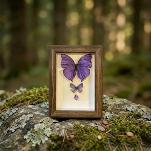Arte con mariposas y amatistas reales – Marco de muestra Armonía Violeta, decoración de pared inspirada en la naturaleza, regalo único para ella, mariposa de calidad de coleccionista A1