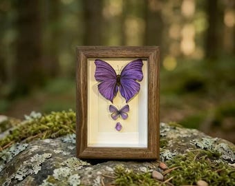 Real Butterfly & Amethyst Art – Violet Harmony Specimen Frame, Nature Wall Decor, Unique Gift for Her, A1 Collector-Grade Butterfly