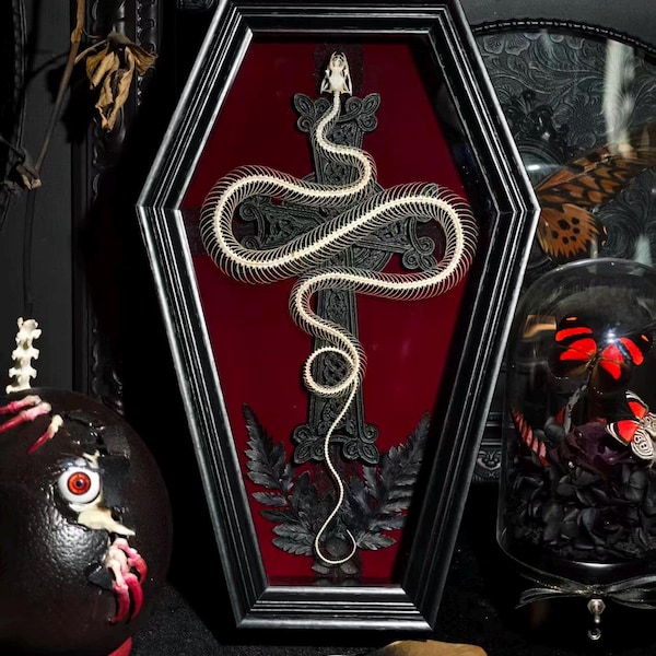 Arte gotica con ossa di serpente in bara / Scatola delle ombre con scheletro vero / Decorazione per altare oscuro / Macabre stranezze / Esposizione di case gotiche