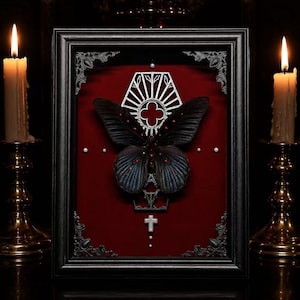 May include: A black rectangular frame containing a dark butterfly specimen centered on a deep red velvet background. Above the butterfly is a silver geometric sunburst emblem, and below it is a small silver cross. Small white pearls accent the display.