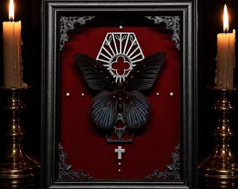 Boîte d'ombre pour papillon noir véritable, spécimen gothique, reliquaire de cathédrale, cadeau d'entomologie Dark Academia