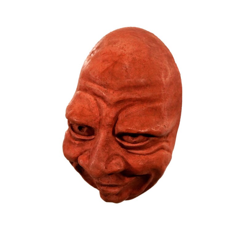 Unique Cement Fridge Magnet Funny Refrigerator Magnet Expressive Devious Face Eclectic Kitchen Decor