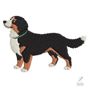 Broderidesign av Berner Sennenhund | 3 storlekar
