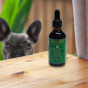 Urinary Support Pet Tincture- Dog and Cat