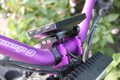 Eride Pro Display Mount for Warp 9 Stem