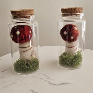 Mushroom table art, two felted wool sculptures, Handmade mini mushroom terrariums, woolen bundle gift for mushroom lover