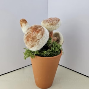 Mushrooms and Moss in terracotta pot, Handmade Needle Felt Decor, realistic woolen mushroom, mushroom bouquet, wool mushroom, gift mushroom