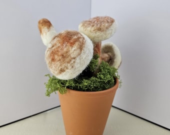 Arreglo de hongos con fieltro de aguja: Hongos de lana en maceta de terracota