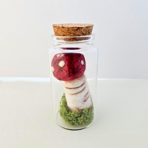 Mushroom table art, felted wool sculpture, Handmade mini mushroom terrarium, woolen bundle gift for mushroom lover
