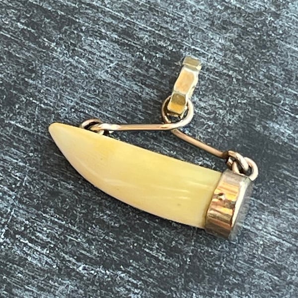 Victorian 10k “Lucky Tooth” Hunters Trophy Charm-