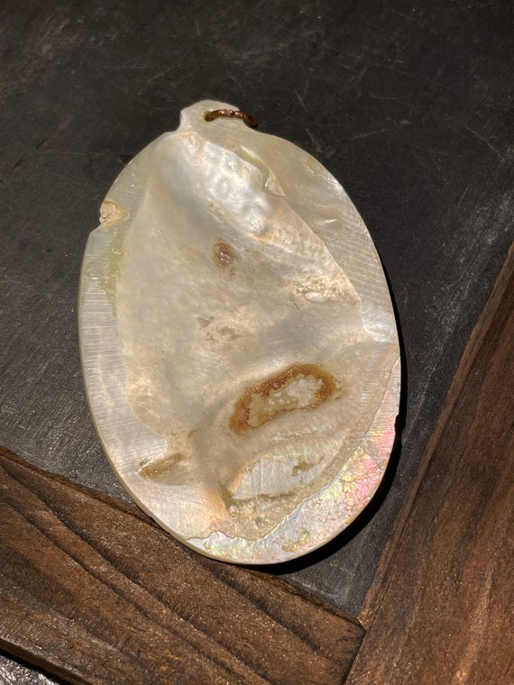 Mid Century Persian Hand Painted MOP Pendant - image 4