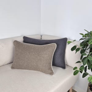 Pode incluir: Duas almofadas retangulares em tons neutros repousam sobre um sofá creme. Uma é marrom claro com borda creme, a outra cinza escuro. Uma planta verde ao fundo cria uma estética minimalista.