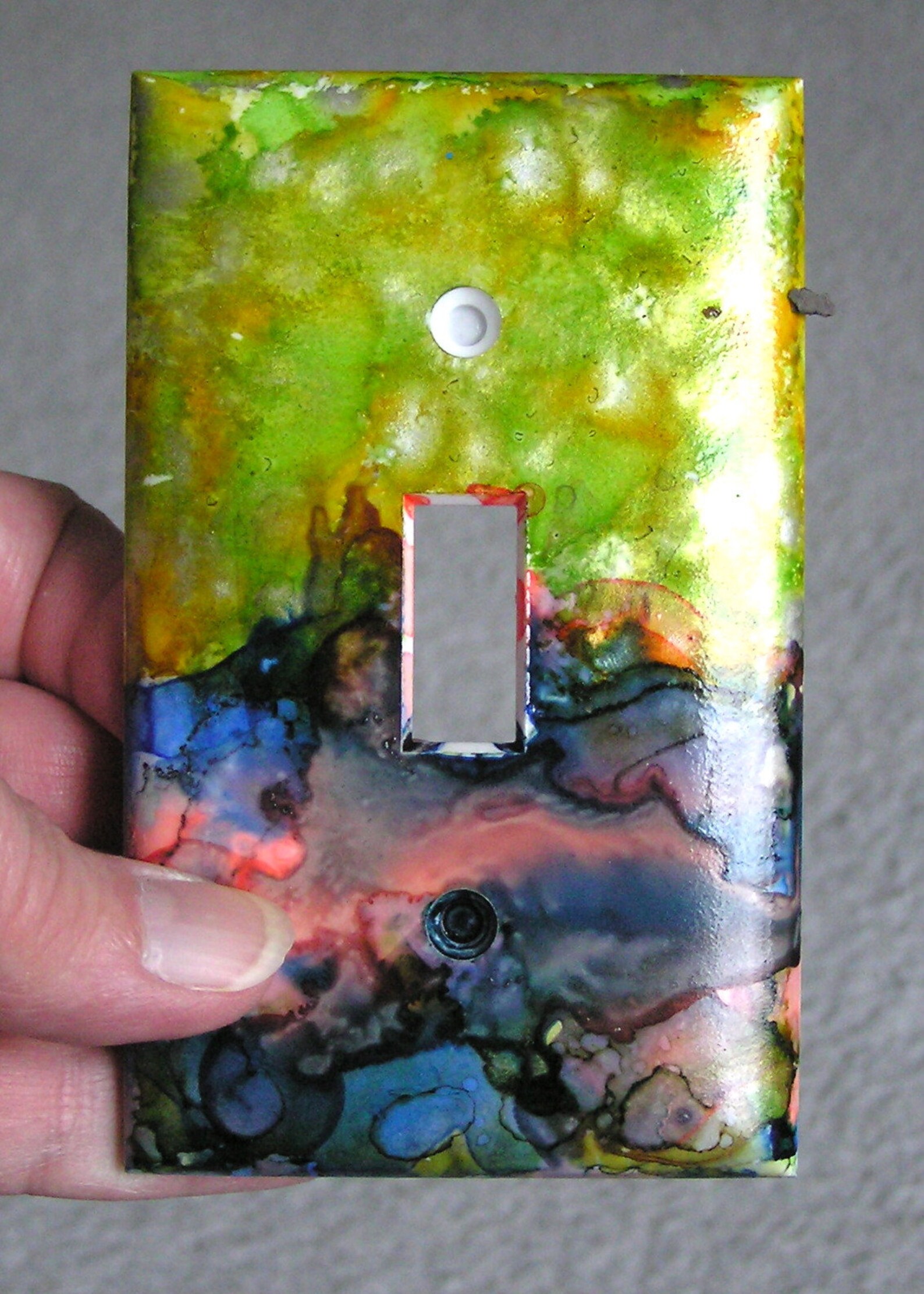 Hand Painted Light Switch Plates Colorful Switchplates Etsy