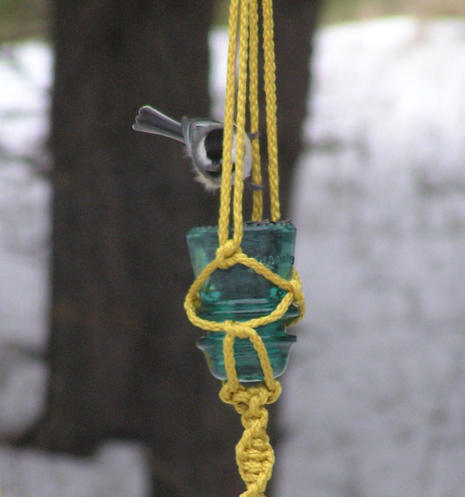 Hanging Bird Feeder Glass Insulator Small Bird Feeder Etsy Hong Kong