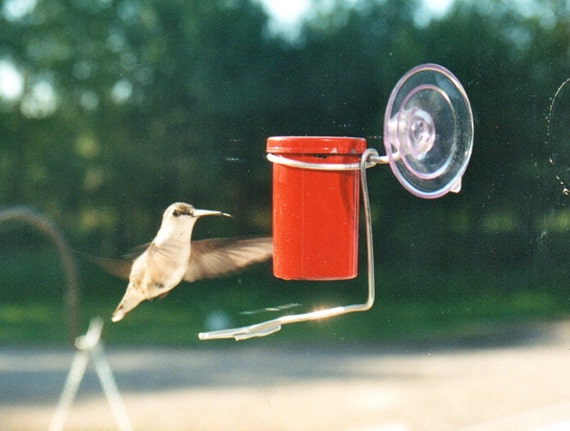 Window Mounted Tiny Hummingbird Feeder Etsy