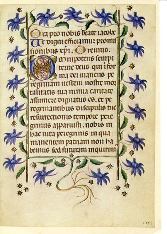 Vintage Bible Illuminated Manuscript Print Letter O 3 Different Choices Christian Catholic Medieval Art Latin Floral