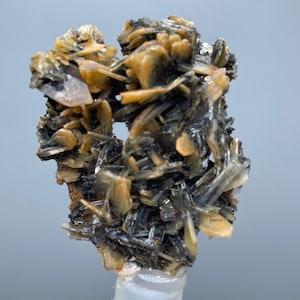 Può includere: Primo piano di un campione minerale con strutture cristalline a strati. Il minerale presenta sfumature di beige, nero e grigio. È montato su una base cilindrica trasparente. Viene evidenziata la formazione naturale del campione.