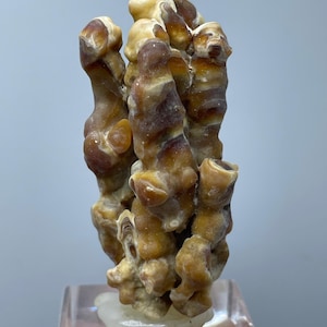 Natural Calcite Stalagmite from Moroccan Caves , Rare Raw Crystal ,Rare Mineral Specimen for Collectors and Geology Gift for Home Decor