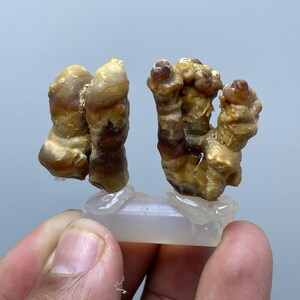 2-Piece Natural Calcite Stalagmites – Raw Crystals from Moroccan Caves – Rare Geological Formation – Natural Mineral Stone
