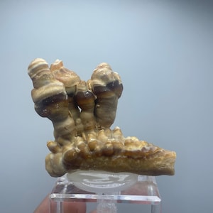 Natural Calcite Stalagmites from Moroccan Caves, Raw Crystals, Rare Mineral Specimen, Natural Stone for Home Decor and Collection