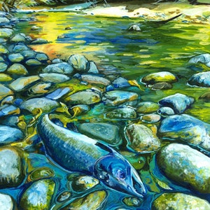 Salmon spawning coho sockeye west coast art print on canvas
