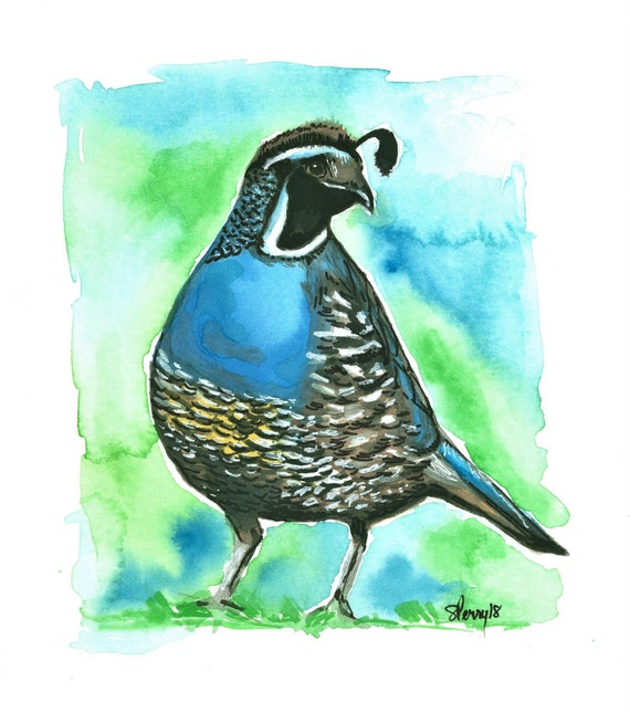 Quail watercolor print on canvas