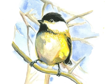 Chickadee watercolor  art canvas print