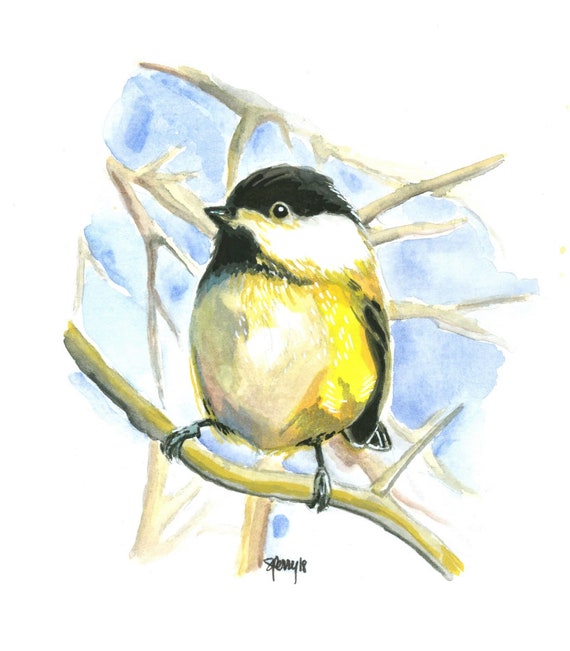 Chickadee watercolor  art canvas print