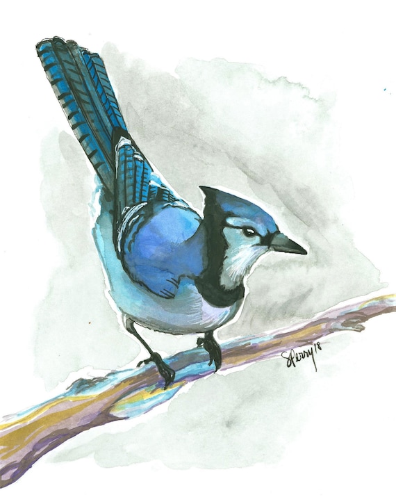 Bluejay watercolor study, 2018, print on canvas on demand 8x8"