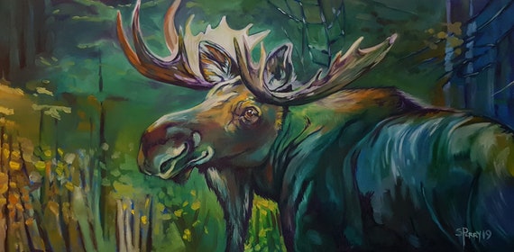 Moose Study oil on canvas